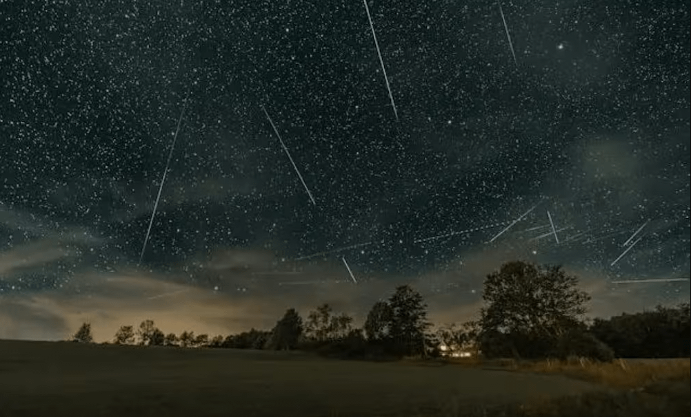 Líridas 2025 Líridas 2025